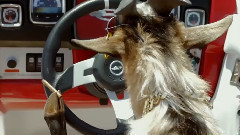 DJ Ichette-La barbichette