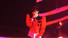 李宇春 - 表演部分