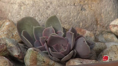 Trendi Cuvarkuće U Raznim Kombinacijama