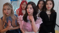 Cherry blossoms樱花 In Red Velvet