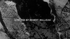 影史50个最伟大电影片头<杀死一只知更鸟>片头