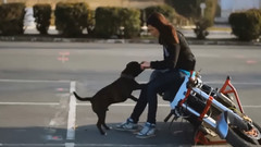 People Are Awesome 2014-2015 (Festival Summer Party Mix)