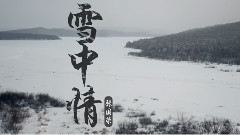 雪中情