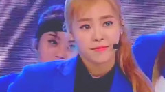 The Ark,防弹少年团 - Bts Jimin And The Ark Jeon Minju