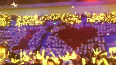 鹿晗 - Reloaded演唱会北京场 拼字应援