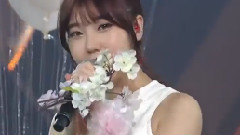 韩国综艺 - 樱花凋谢的话