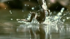 电影<地球生灵>预告片