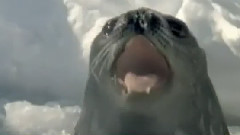 电影<地球生灵>日本剧场版预告片