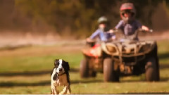 Luke Bryan - Huntin', Fishin' And Lovin' Every Day