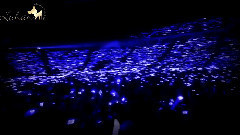 鹿晗 - 黄金鹿海 星空海 拼字应援