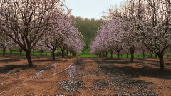 Matt Bednarsky,音乐短片 - Balance