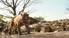 电影<奇幻森林>精彩片段3