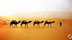 And Caravan Moves On