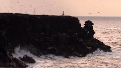 加拉帕戈斯群岛2