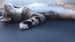 С наступающим новым годом