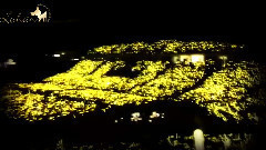 鹿晗 - 黄金鹿海 勋章星空海 拼字