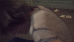 Small Mechanics - Takich Jak My