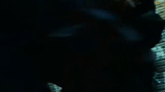 电影<美错>片段之Arrest