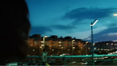 电影<美错>片段之Birds