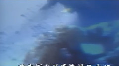 忘记你不如忘记自己