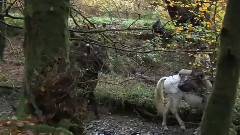 电影<迷踪:第九鹰团>拍摄直击-中