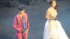 李宇春,邓紫棋 - 最佳女歌手