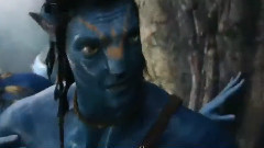 电影<阿凡达>电视宣传片8