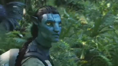 电影<阿凡达>精彩片段1