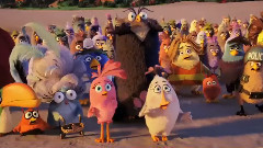 影视原声 - 电影<愤怒的小鸟>内地定档5.20新预告曝光笑点密集 中美将同步上映