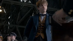 电影<神奇动物在哪里>哈利波特外传电影的预告片
