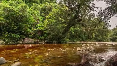 纽西兰壮丽风光