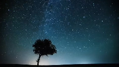 追逐中国最美星空