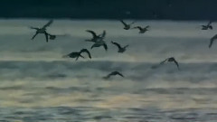 民乐群星 - 笛子独奏 三五七