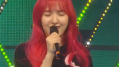 Cool Hot Sweet Love & 7月7日