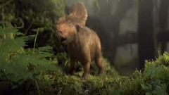 影视原声 - 一周视频串烧<与恐龙同行3D>古生物学科普节目转型3D电影