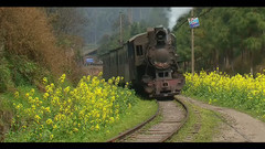 嘉阳小火车(芭石鉄路)