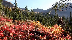 蓝色的湖-北叶栅