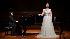 王莹 - ЖАВОРОНОК