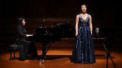 王莹 - вечор ко мне,девице