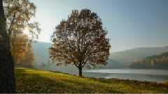 Bandari - Time To Say Goodbye