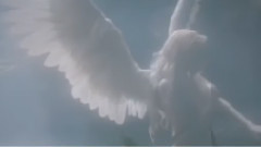 Giovanni Marradi,音乐短片 - Angel Tears