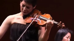 圣母颂 提琴超女安梅耶 Anne Meyers 与她的名琴 1697 Molitor