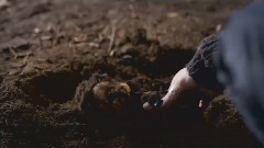 影视原声 - 电影<母侵>预告片2