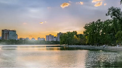 玉渊潭公园风光