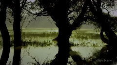 Hayley Westenra Dark Waltz