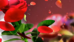 ТОЛЬКО ДЛЯ ТЕБЯ