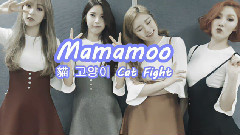 猫(Cat Fight) 繁中歌词 认声