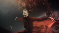 Omar Akram,音乐短片 - Secret Journey