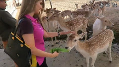 Lana's New Pet Tiger !!!拉娜的新宠物老虎! ! !