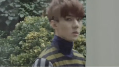 蛛网▪你是我戒掉的瘾